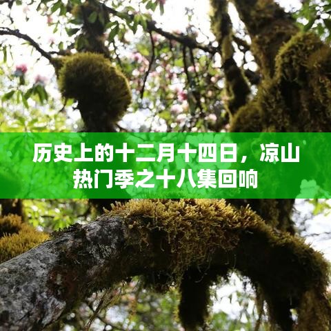 凉山热门季十八集回响，历史十二月十四日的回响