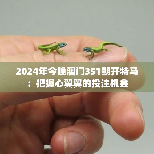 2024年今晚澳门351期开特马：把握心翼翼的投注机会