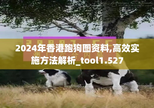 2024年香港跑狗图资料,高效实施方法解析_tool1.527