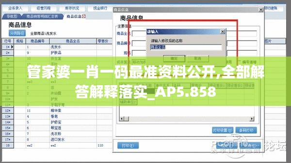 管家婆一肖一码最准资料公开,全部解答解释落实_AP5.858