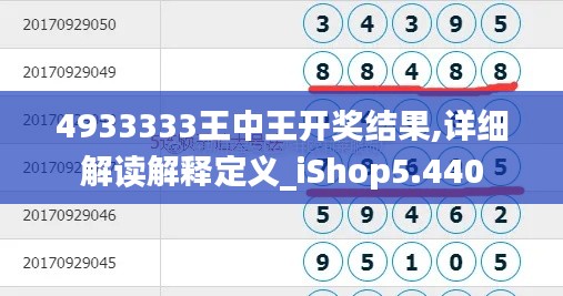 4933333王中王开奖结果,详细解读解释定义_iShop5.440