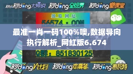 最准一肖一码100%噢,数据导向执行解析_网红版6.674