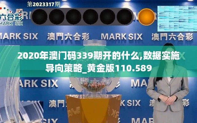 2020年澳门码339期开的什么,数据实施导向策略_黄金版110.589