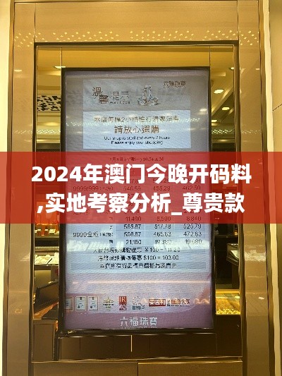 2024年澳门今晚开码料,实地考察分析_尊贵款1.731