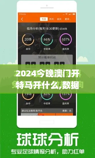 2024今晚澳门开特马开什么,数据实施导向策略_精英款9.923