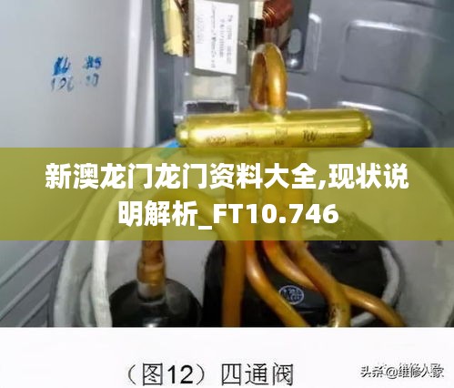 新澳龙门龙门资料大全,现状说明解析_FT10.746