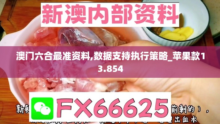 澳门六合最准资料,数据支持执行策略_苹果款13.854