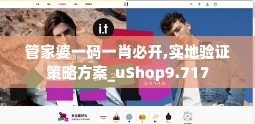 管家婆一码一肖必开,实地验证策略方案_uShop9.717