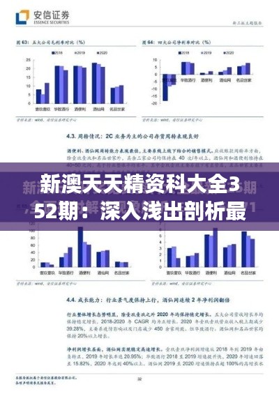 新澳天天精资科大全352期：深入浅出剖析最新投资机会