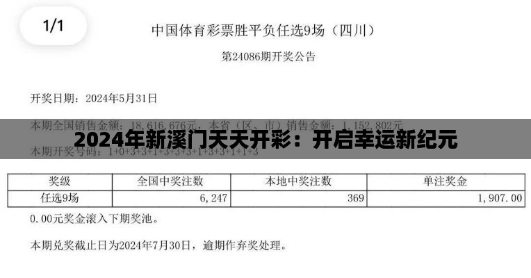 2024年新溪门天天开彩：开启幸运新纪元