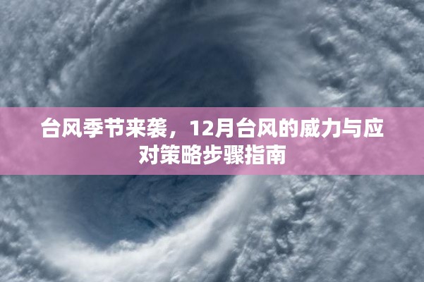 台风季节来袭，揭秘十二月台风的威力及应对步骤指南