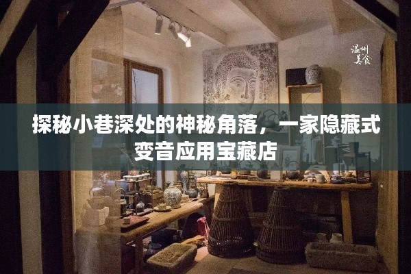 探秘小巷深处的神秘角落，隐藏式变音应用宝藏店揭秘