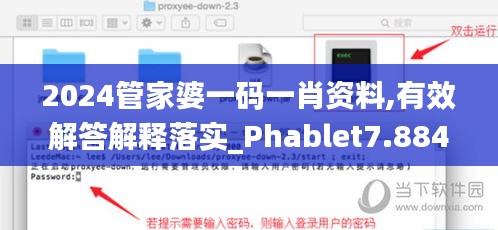 2024管家婆一码一肖资料,有效解答解释落实_Phablet7.884