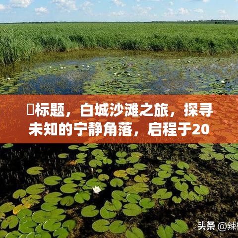 启程于日落时分的白城沙滩之旅，探寻未知的宁静角落