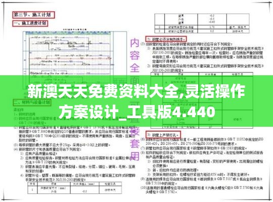 新澳天天免费资料大全,灵活操作方案设计_工具版4.440