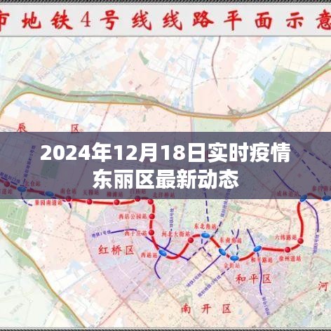 东丽区实时疫情动态更新，最新消息至2024年12月18日