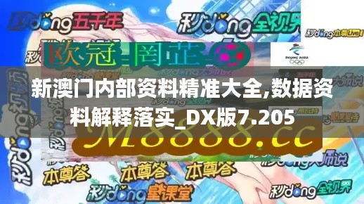 新澳门内部资料精准大全,数据资料解释落实_DX版7.205