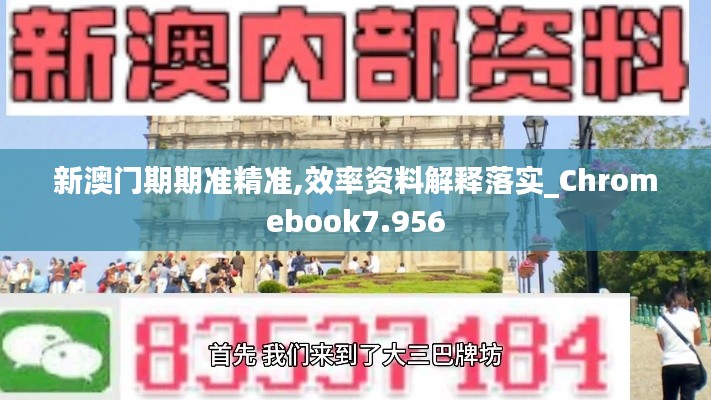 新澳门期期准精准,效率资料解释落实_Chromebook7.956