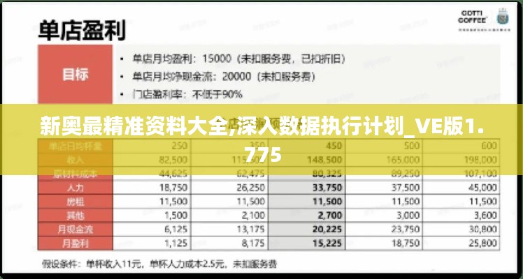 新奥最精准资料大全,深入数据执行计划_VE版1.775