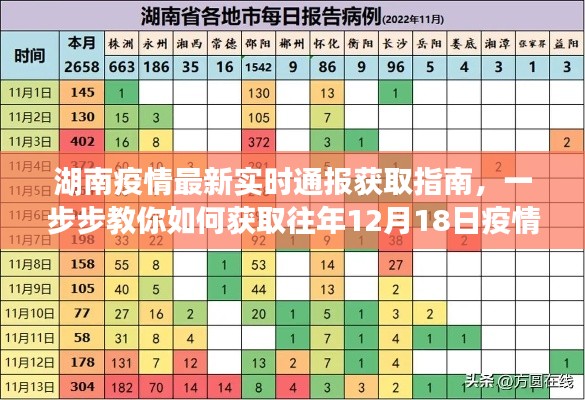 湖南疫情最新实时通报获取指南，如何查询往年12月18日疫情信息