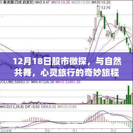 心灵旅行与股市微探，与自然共舞，探寻奇妙旅程的启示（12月18日股市观察）