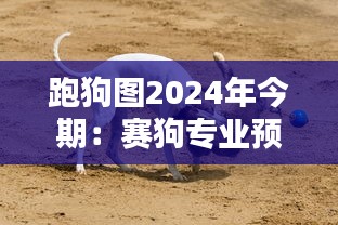 跑狗图2024年今期：赛狗专业预测与策略解析