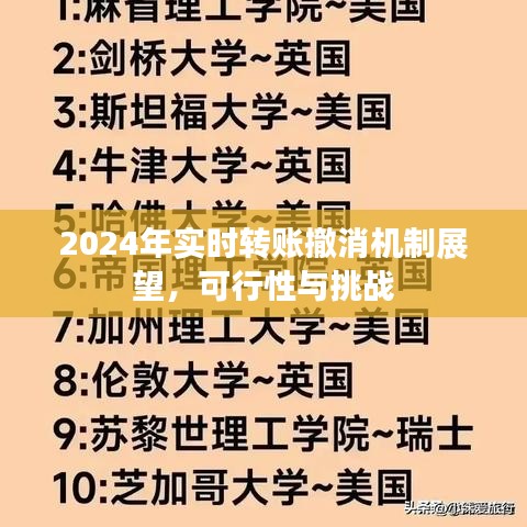 2024年实时转账撤消机制展望，可行性、挑战与未来展望