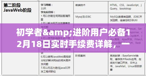 初学者与进阶用户必备，12月18日实时手续费详解及任务完成指南