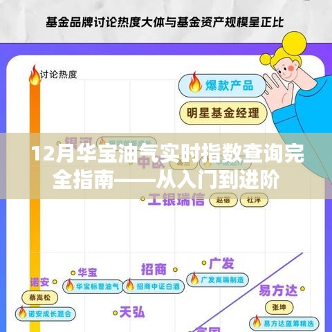 华宝油气实时指数查询指南，入门到进阶全解析