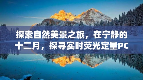 十二月自然探索之旅，揭秘实时荧光定量PCR与内心宁静之道