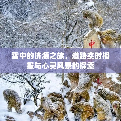 雪中的济源之旅，道路实时播报与心灵探索之旅