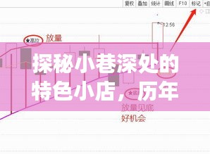 探秘小巷特色小店与股市风云解析图，历年股市实时动态回顾与深度洞察