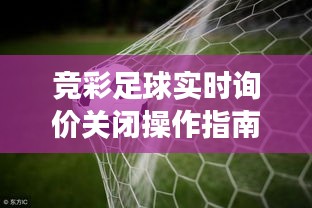 初学者视角，竞彩足球实时询价关闭操作指南——截至2024年12月18日