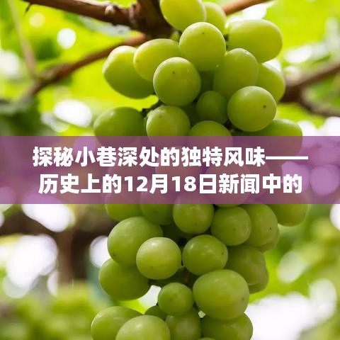 探秘小巷深处的独特风味，历史新闻中的隐藏瑰宝——12月18日回顾