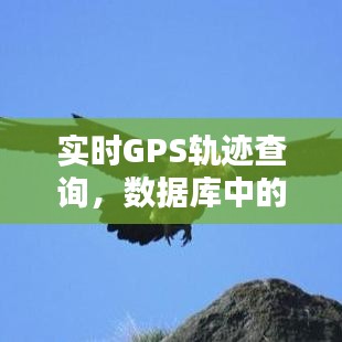 实时GPS轨迹查询与动态数据提取利用技术