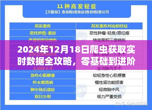 2024年实时数据爬虫获取全攻略，零基础到进阶操作指南