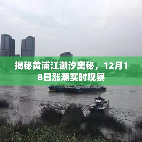 揭秘黄浦江潮汐奥秘，12月18日涨潮实时观察揭秘大潮真相！