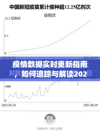 疫情数据实时更新指南，追踪与解读2024年疫情人数