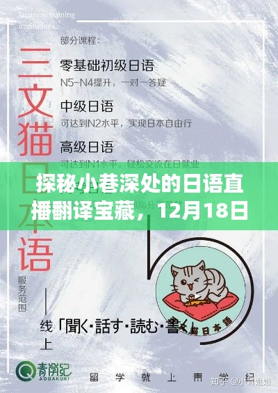 探秘小巷深处的日语直播翻译宝藏，语言的桥梁在12月18日相遇