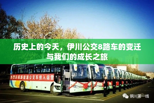 伊川公交8路车的变迁，历史与成长之旅