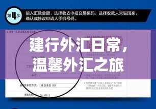 建行外汇日常，温馨外汇交易之旅