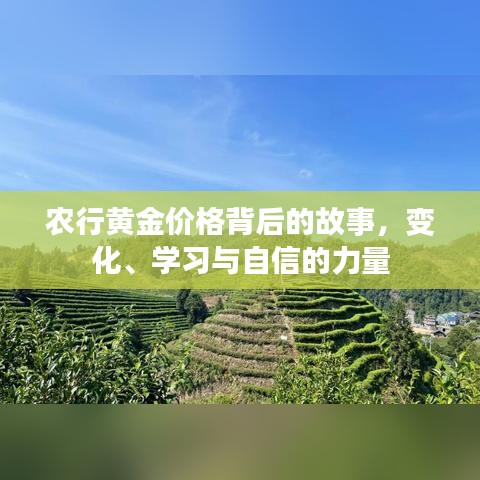 农行黄金价格背后的故事，变化中的自信与学习力量探索