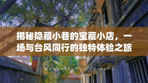 探寻台风中的小巷宝藏，独特体验之旅