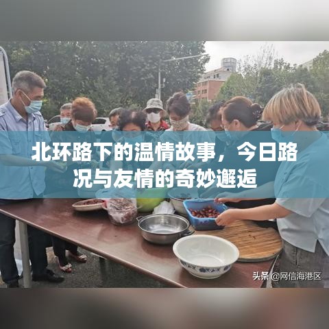 北环路下的温情与路况友情邂逅记