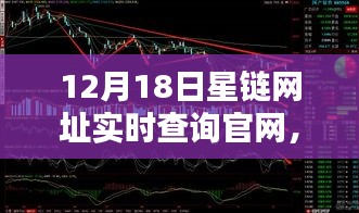 2024年12月21日 第20页