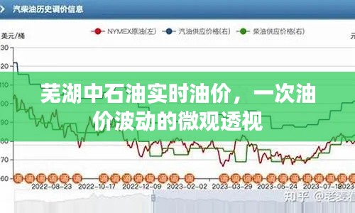 芜湖中石油油价微观透视，实时波动揭示市场变化