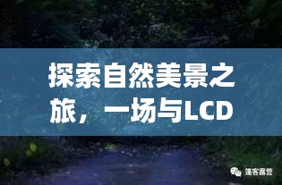 自然探索之旅，与LCD时钟的奇妙邂逅