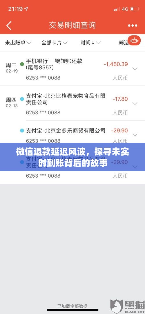 微信退款延迟风波揭秘，探寻资金未实时到账背后的原因与故事