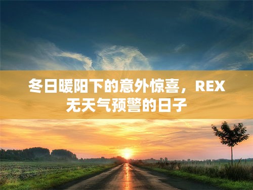 冬日暖阳下的惊喜，REX无天气预警的日子