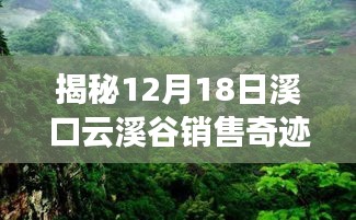 溪口云溪谷销售奇迹揭秘，实时数据深度解析与背后的故事